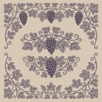 Set of vintage design elements of grape branches and borders vector
