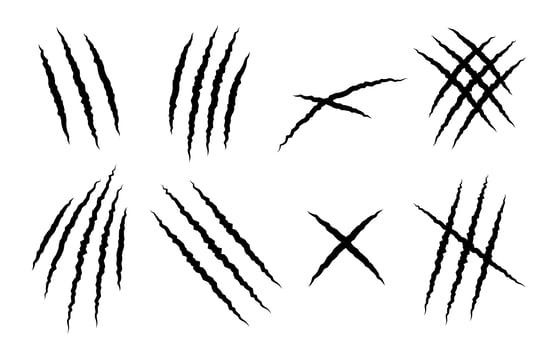 Set of animal claw scratches vector