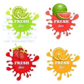 Fruit juice splashes  vector