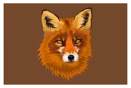 Cartoon fox head drawing vector