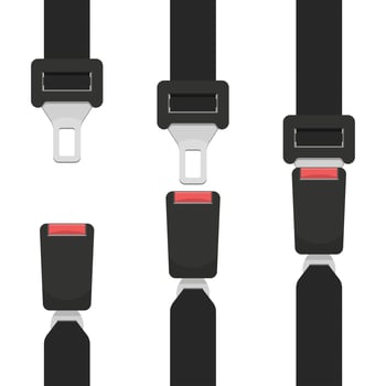Seat belt set isolated  vector