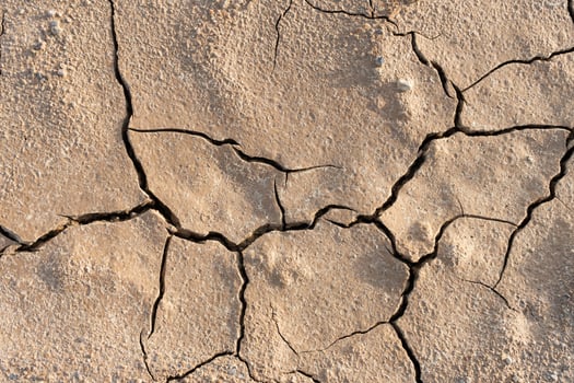 Dry cracked ground photo
