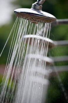 Watering the plants photo