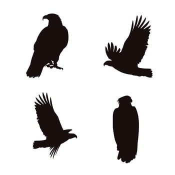 Bald eagles silhouettes vector