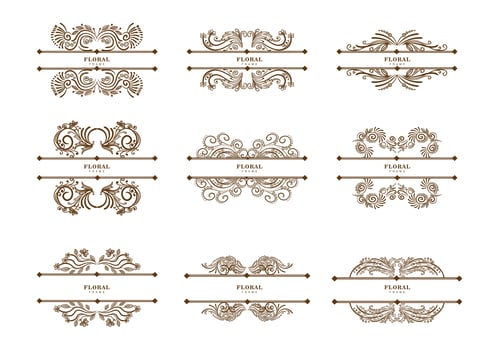 Vintage floral dividers set vector