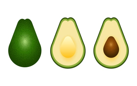 Realistic avocado isolated on white background vector