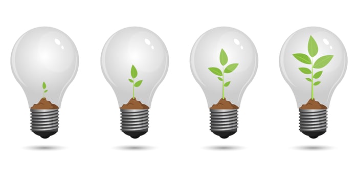 Plant growing inside light bulb  vector