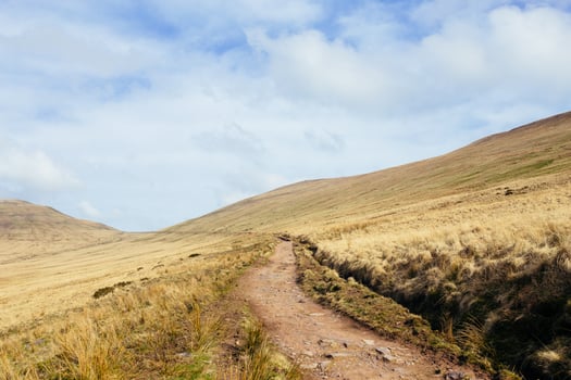 Path on a hill during the day photo