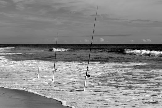 Fishing poles in the ocean photo