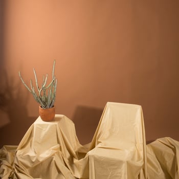 Beige covered chairs photo