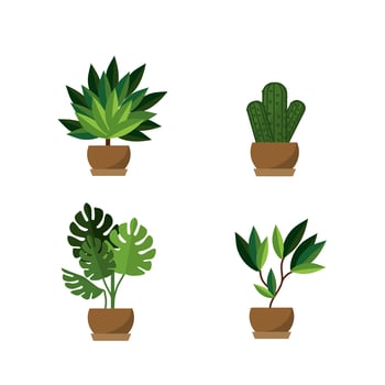 Potted plants icon set vector