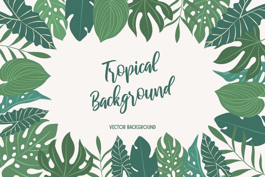 background with tropical leaves vector