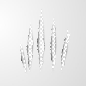 Paper Art Claw Scratches Isolated on Transparent Background vector