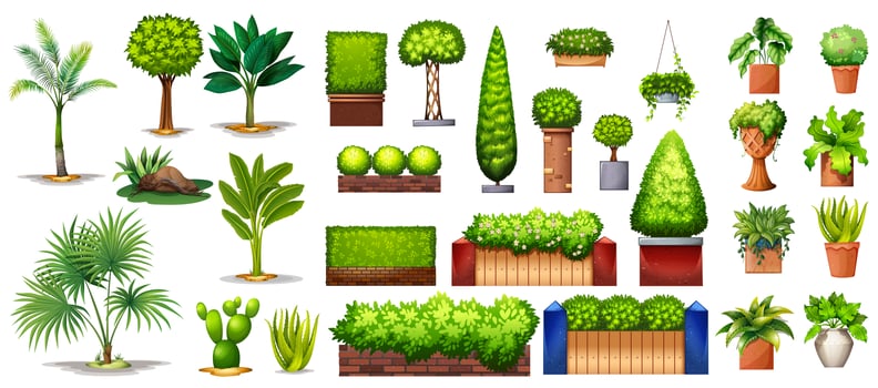 Collection of species of plants and trees vector