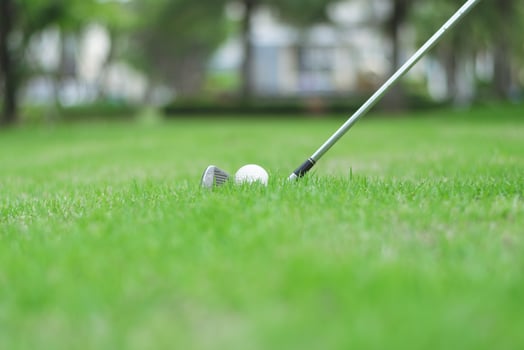 Golf ball and club in golf course photo