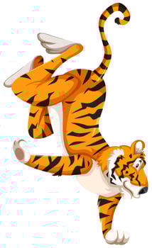 Tiger standing on one hand vector