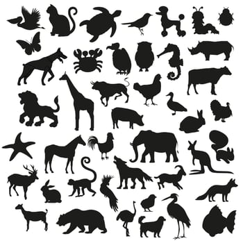 A set of Animals Silhouette vector