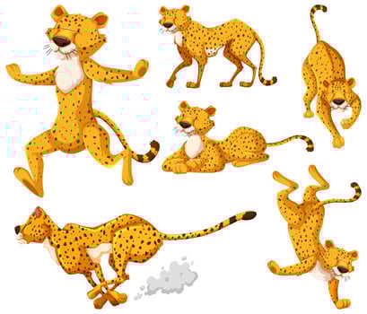 Cheetah cartoon character set vector