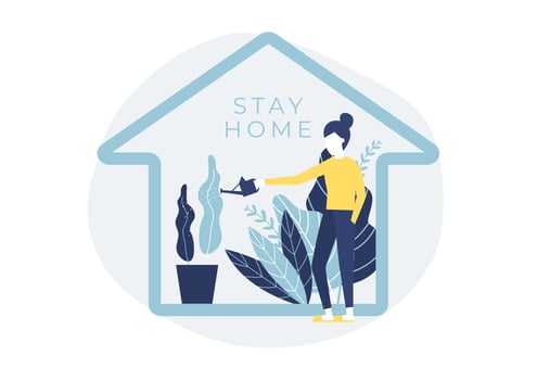 Woman watering house plants vector