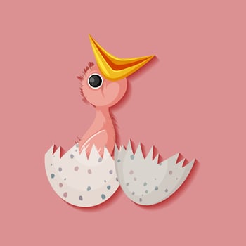 Chick hatching egg isolated vector