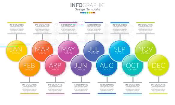 Full year timeline template with 12 months vector