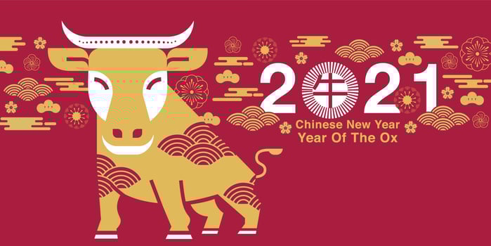 Chinese New Year 2021 Year of the Ox Design vector