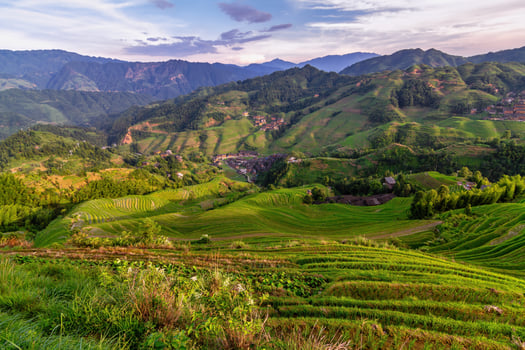 Terraced rice fields in Longsheng, China photo