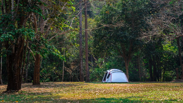 Tent in the park photo