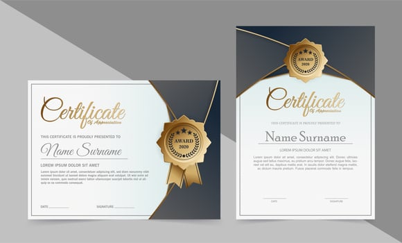 Gray and white modern certificate designs vector