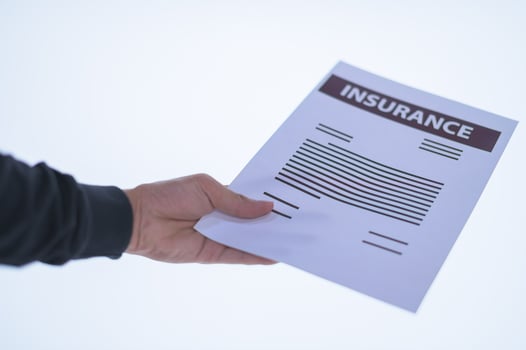 Hand holding a document photo