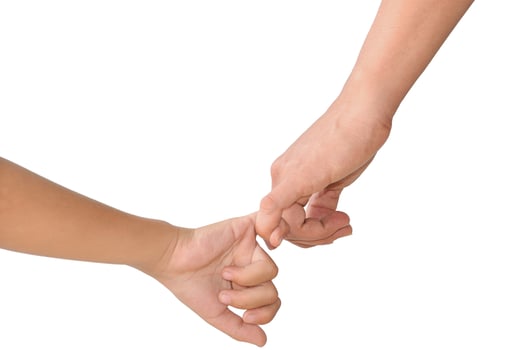 Adult holding child's hand isolated on background photo