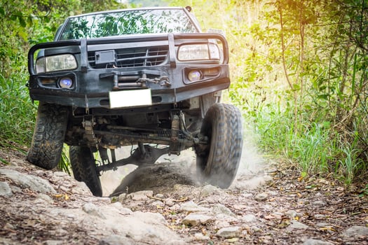 Truck driving in the forest photo
