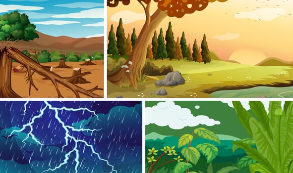 Four different natural disaster scenes vector