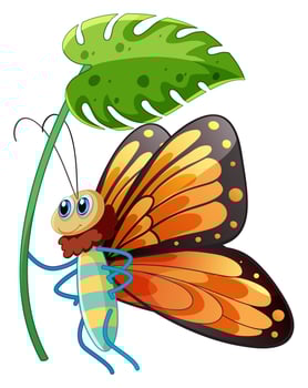 Buttefly holding green leaf on white background vector