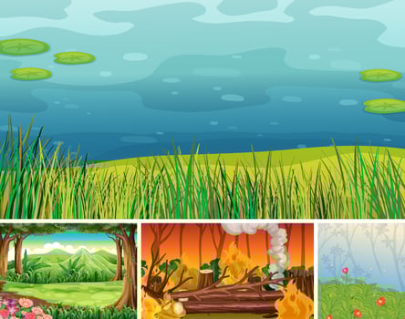 Four different nature scenes vector
