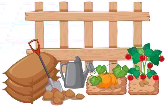 Vegetables growing in the garden on white background vector
