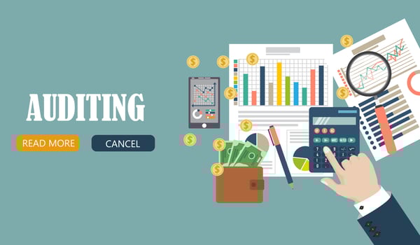 Auditing Tax process vector