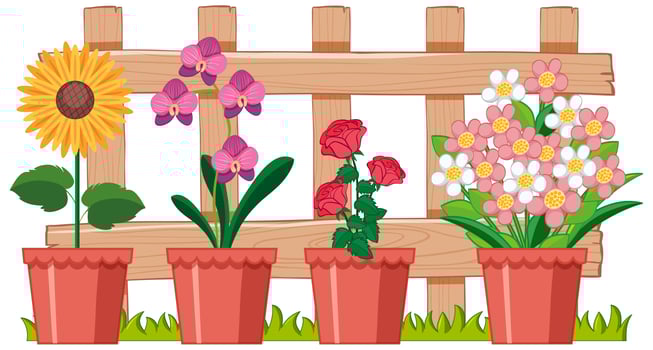 Beautiful flower in the garden on white background vector