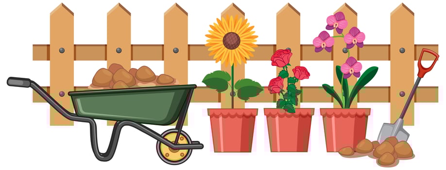 Beautiful flowers in garden on white background vector