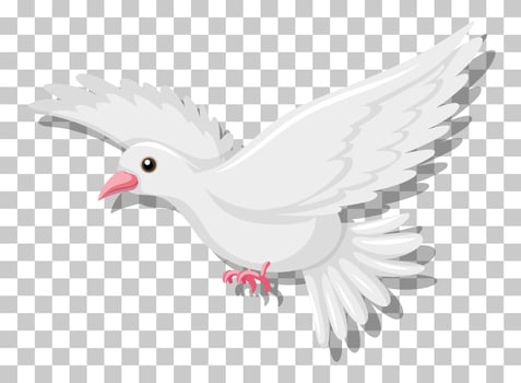 White pigeon flying isolated on transparent background vector