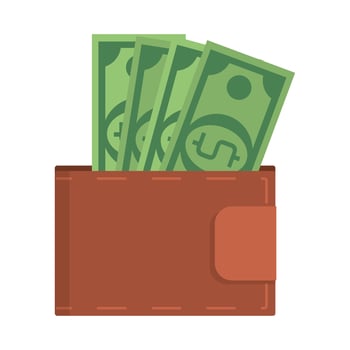 Wallet with money isolated icon vector