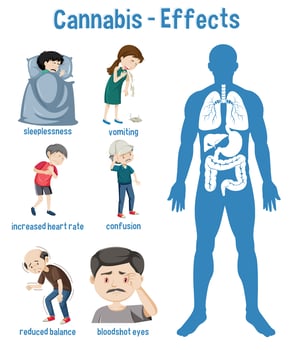 Health effects of Cannabis Infographic vector