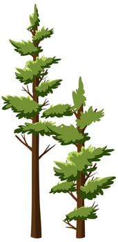 Isolated trees on white background vector