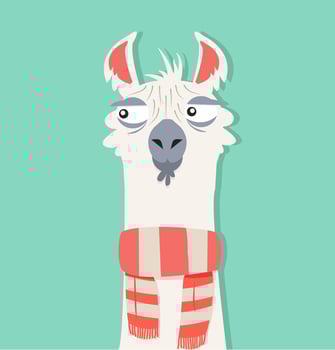 Alpaca with scarf vector