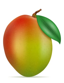 Mango fresh ripe exotic fruit vector