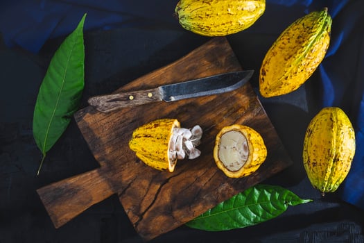 Cut cocoa fruit on a wooden chopping board. photo