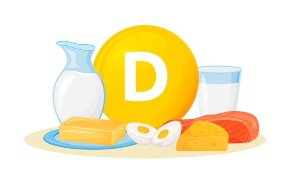 Vitamin D food sources vector
