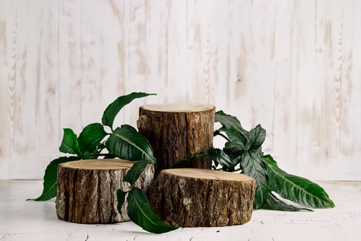 Wooden stump podium for product placement photo