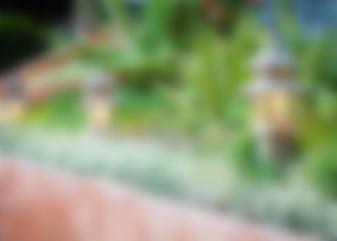 Blurry garden background photo