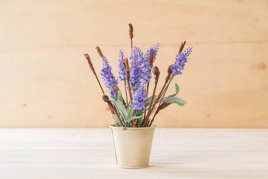Statice and caspia flowers on wooden background photo